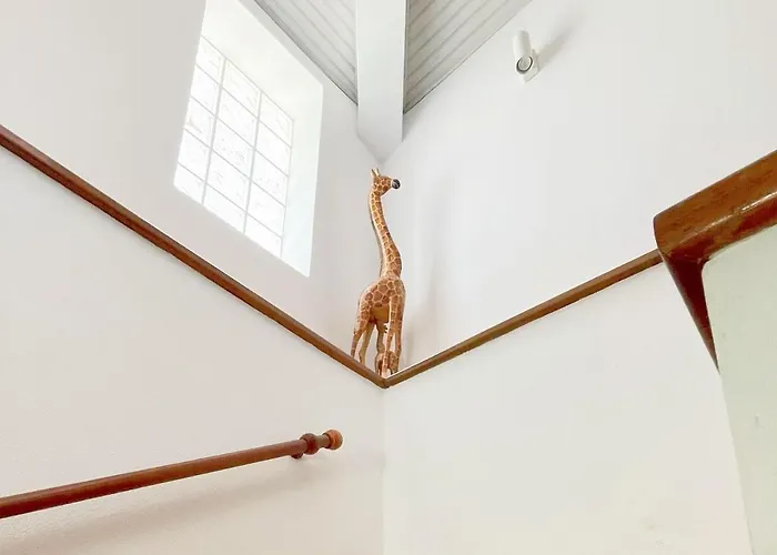 Casa De Partida * 科维良